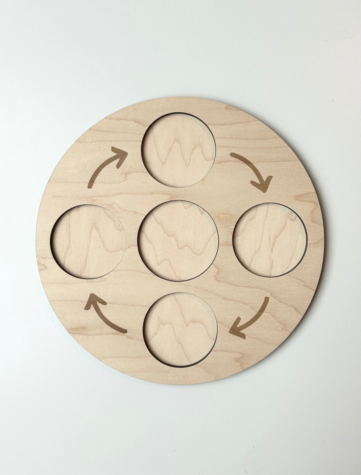 Life Cycle Sets & Trays