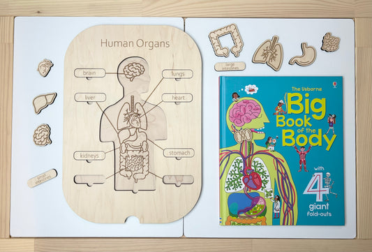Human Body Insert & Book Kit