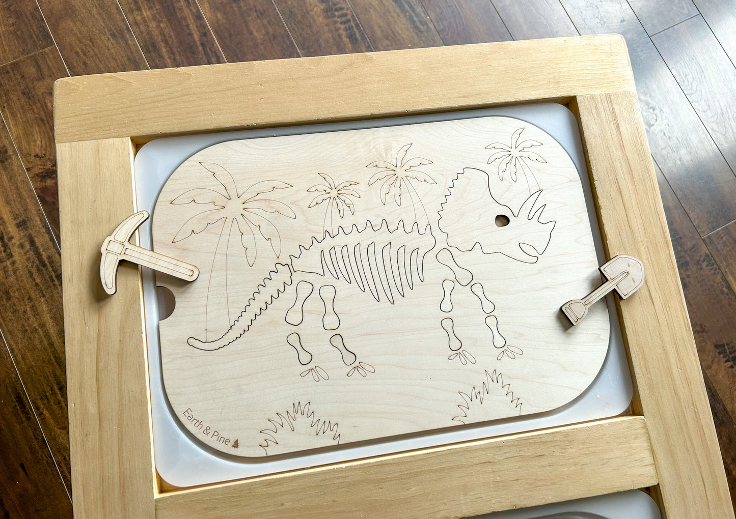 Dinosaur Fossil Hunt Insert