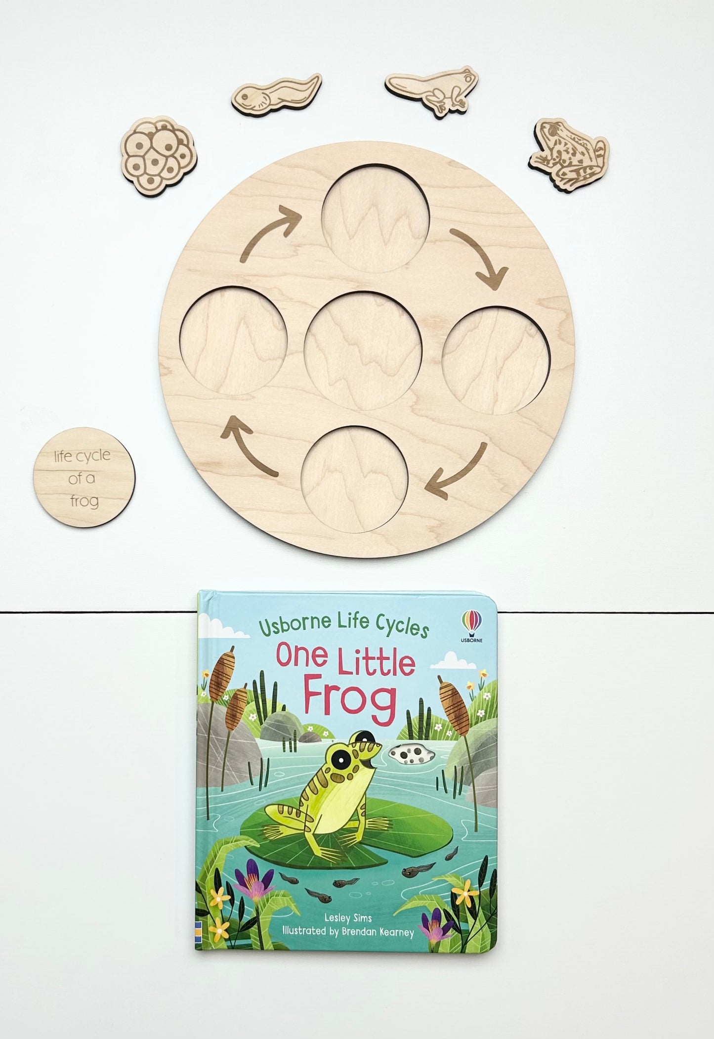 Life Cycle Sets & Trays