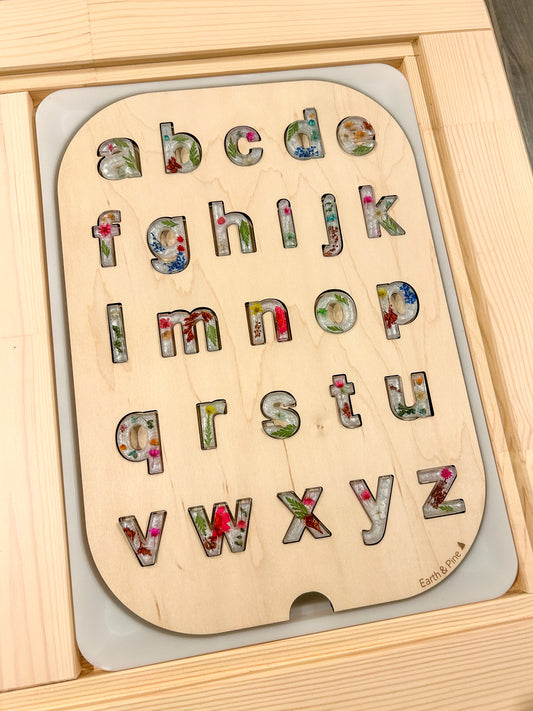 Lower Case Resin Letter Insert