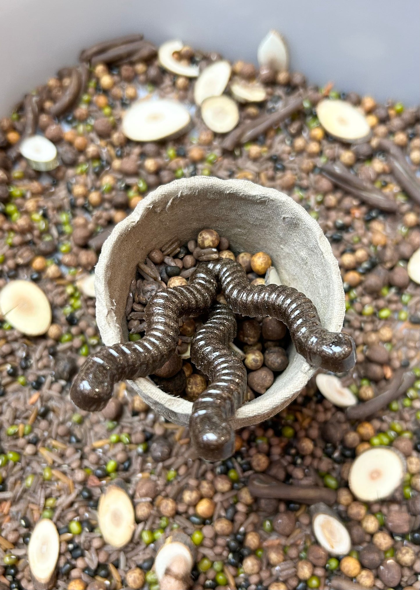 Bug Hotel Insert Kit