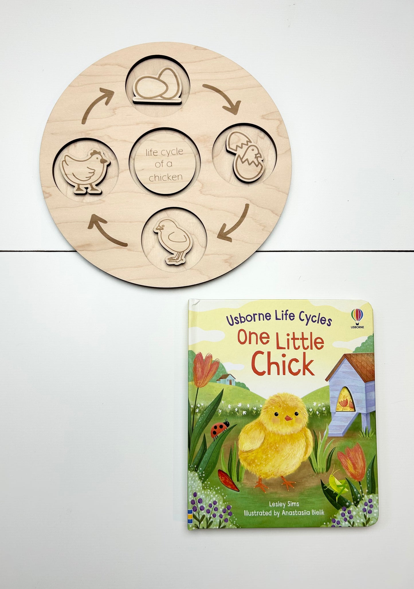 Life Cycle Sets & Trays