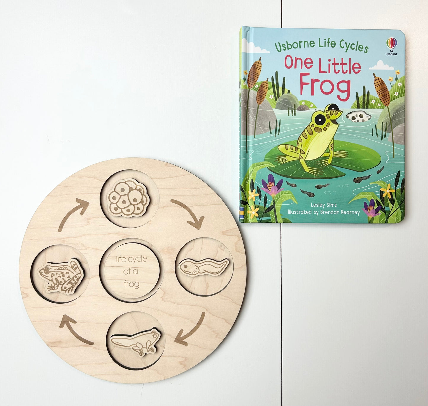 Life Cycle Sets & Trays