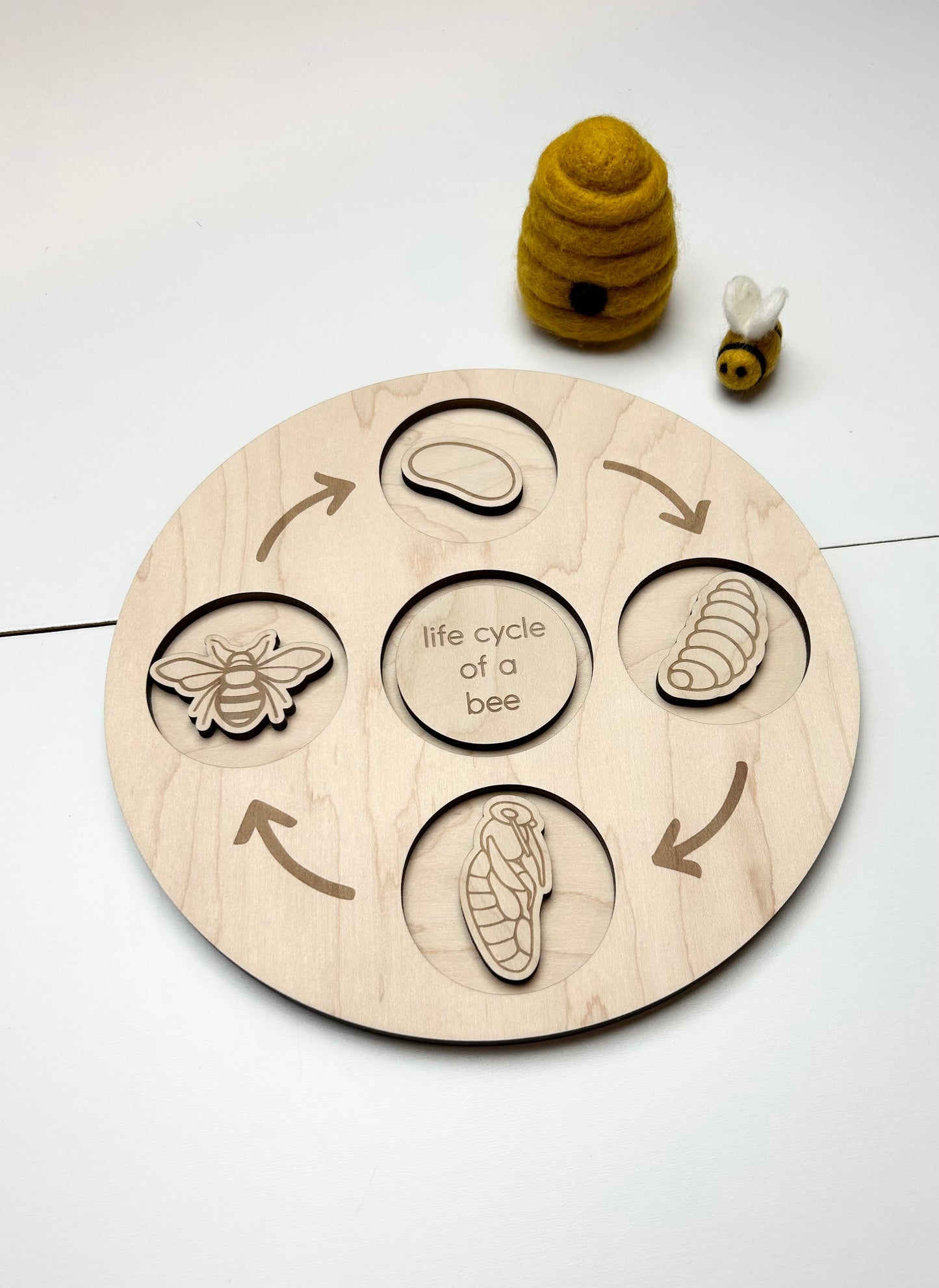 Life Cycle Sets & Trays