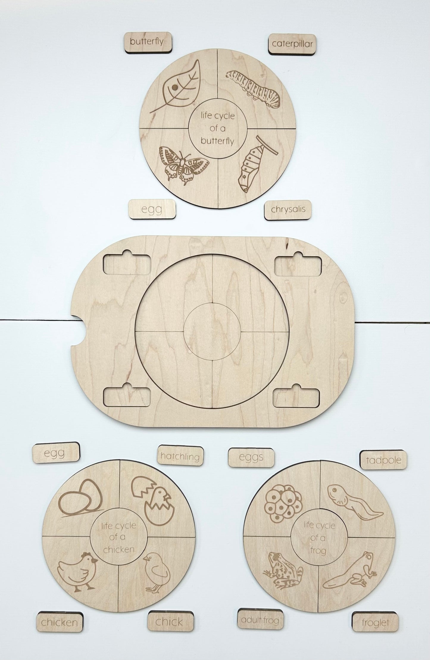 Life Cycle Insert