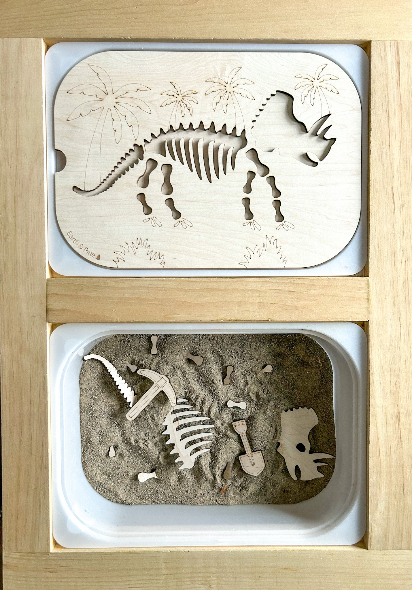 Dinosaur Fossil Hunt Insert