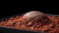 How microbes could turn Martian dust into concrete for future Mars habitats